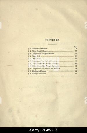 Mémoires sur le mecueilleurs, ou sloth géant de terre de l'Amérique Banque D'Images