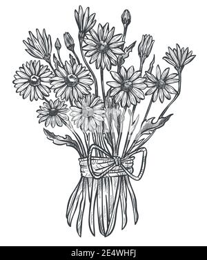 Fleurs de camomille nouées dans un bouquet, style rustique Illustration de Vecteur