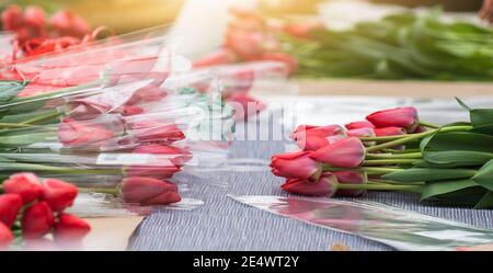 Les fleuristes en serre collectent des bouquets de tulipes pour livraison Banque D'Images