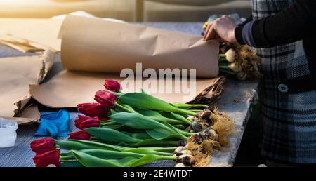 Les fleuristes en serre collectent des bouquets de tulipes pour livraison Banque D'Images