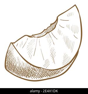 Fruits doux à l'abricot ou à la pêche coupés en croquis Illustration de Vecteur