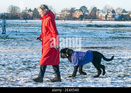 WIMBLEDON LONDRES, ROYAUME-UNI 25 JANVIER 2021. Une femme marche son chien sur le paysage couvert de neige lors d'une matinée éclatante après une forte chute de neige à Londres dimanche avec des températures qui plongent à -5 °C la nuit dernière. Le bureau du met a émis un avertissement jaune pour la glace dans le sud-est de l'Angleterre avec des prévisions de températures inférieures à zéro. Credit: amer ghazzal / Alamy Live News Banque D'Images