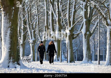 Leicester, Leicestershire, Royaume-Uni 25 janvier 2021. ROYAUME-UNI. Météo. Neige. Une matinée enneigée dans le parc Victoria de Leicester City. Alex Hannam/Alamy Live News Banque D'Images