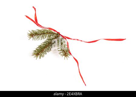 Branche d'épinette avec ruban rouge isolée sur fond blanc Banque D'Images