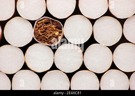 Cigarettes à filtre empilées, macro gros plan, concept de dépendance au tabagisme, arrière-plan horizontal détaillé de la pile de cigarettes multiples, plat Banque D'Images