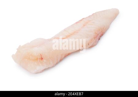 Photo de studio de queue de monkfish coupée contre un blanc Contexte - John Gollop Banque D'Images