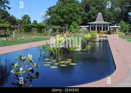 Jardin aquatique et salon de thé au pavillon des jardins botaniques royaux de Hamilton, Canada Banque D'Images