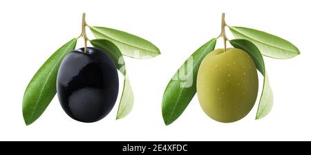 Une olive noire et verte avec des feuilles isolées sur blanc arrière-plan