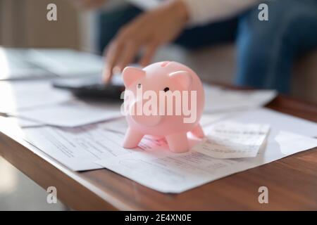 Femme gros plan calculant et économisant de l'argent, banque de porc rose Banque D'Images