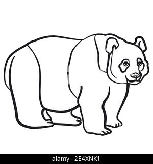 illustration linéaire noir et blanc de l'ours panda le fond blanc Illustration de Vecteur