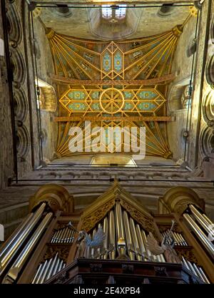 Intérieur de la cathédrale St David, plafond coloré peint tour centrale carrée, Pembrokeshire West Wales UK avec tuyaux d'orgue Banque D'Images