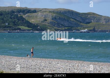 Un homme solitaire dans un costume de natation avec un chien sur la rive nord de Llandudno avec la jetée et le Grand Orme au-delà. Banque D'Images