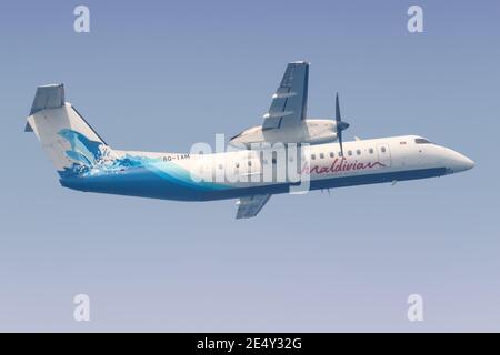 Homme, Maldives – 19 février 2018 : avion Bombardier DHC-8-300 de Maldiviens à l'aéroport de Malé (MLE) aux Maldives. Banque D'Images