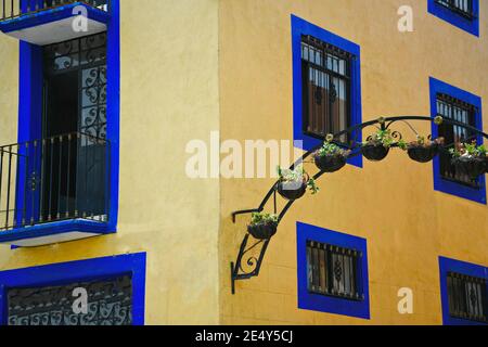 Façade de maison coloniale avec un mur en stuc ocre, des fenêtres taillées en bleu et des pots en argile suspendus avec des plantes à Atlixco, Puebla Mexique. Banque D'Images