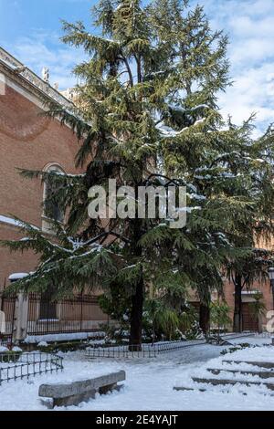 vue verticale d'un beau coin de la place bernardas enneigée couvert dans la ville d'alcala de henares sur un jour ensoleillé après une chute de neige avec un grand déc Banque D'Images