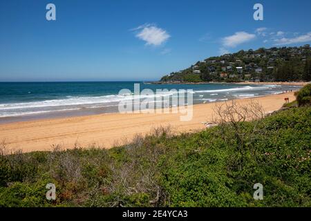 Vue sur le sable à Palm Beach et l'océan, les plages du nord de Sydney, Nouvelle-Galles du Sud, Australie le jour de l'été Banque D'Images