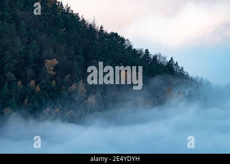 Une pente de colline densément boisée couverte de feuillage d'automne luxuriant enveloppé dans un brouillard dense Banque D'Images