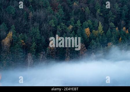 Une pente de colline densément boisée couverte par un feuillage d'automne luxuriant enveloppé dans un brouillard dense Banque D'Images