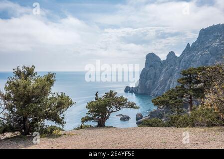 Vue sur la pente de montagne avec les arbres Crimean Juniper et Eaux bleues de la mer Noire à l'horizon Banque D'Images