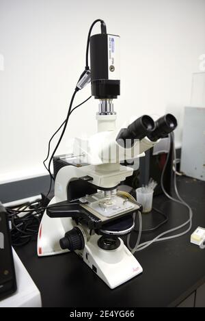 Objectif gros plan d'un microscope scientifique moderne en laboratoire.  Mise au point sélective Photo Stock - Alamy