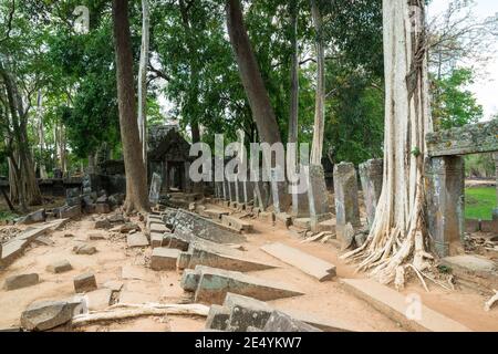 Prasat Thom du temple de Koh Ker, région de Preah Vihear, Cambodge, Asie Banque D'Images