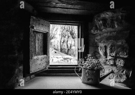 Photo en niveaux de gris d'un panneau de fenêtre rustique, avec un volet en bois Banque D'Images