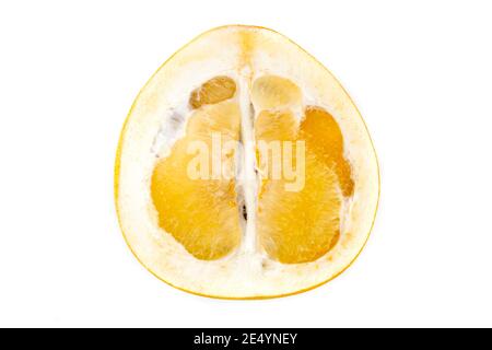 Pomelo en tranches (Citrus maxima ou Citrus grandis) sur fond blanc Banque D'Images