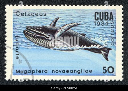 Le timbre imprimé à Cuba montre un rorqual à bosse (Megaptera novaeangliae), série 'sea mammifères', vers 1984 Banque D'Images