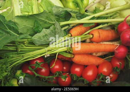 Carottes, tomates, radis et feuilles vertes mélangées sur le marché aux fruits et légumes Banque D'Images