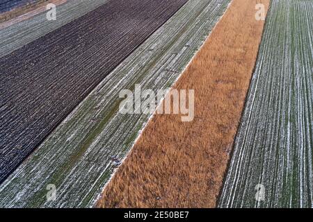 Champ agricole cultivé gelé en hiver par le dessus, photographie de drone vue aérienne en perspective Banque D'Images