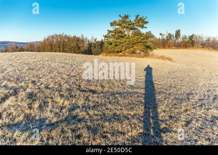 Matin d'hiver glacial. Homme longtemps debout sur l'herbe. Paysage à l'ombre d'un homme. Ombre d'un homme dans un pré. Banque D'Images