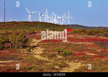 Waymart Wind Energy Center, sur Moosic Mountain, dans le nord-est de la Pennsylvanie, est la plus grande installation de production d'énergie éolienne de Pennsylvanie. Banque D'Images