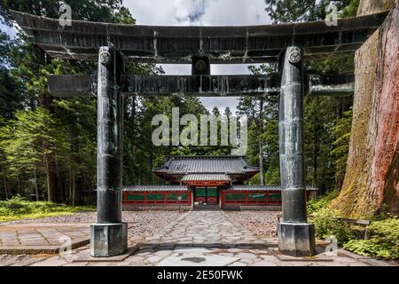 Plan symétrique de l'entrée d'un temple japonais entouré d'une forêt, avec un énorme torii de bronze au premier plan Banque D'Images