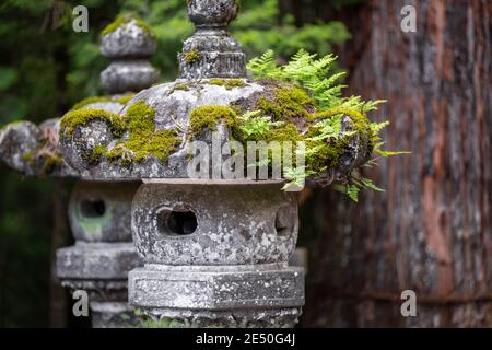 Gros plan d'une rangée de lanternes votives en pierre japonaises recouvertes de mousse et altérées, sur fond de bokeh Banque D'Images