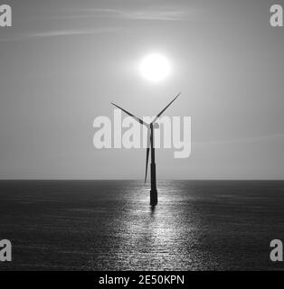 Turbine offshore rétro-éclairée avec soleil intense à l'aube, noir et blanc Banque D'Images