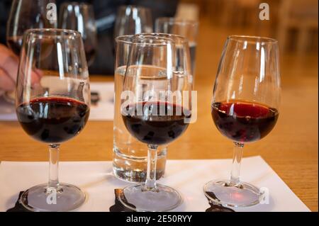 Dégustation professionnelle de différents desserts fortifiés rubis, vins de port tawny en verres dans les caves à vin de Porto, Portugal, gros plan Banque D'Images