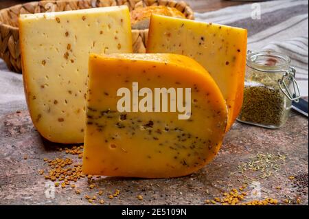 Collection de fromages, morceaux de gouda hollandaise jaune dur avec carvi séché, moutarde, cumin, fenugrec, graines de poivre gros plan Banque D'Images