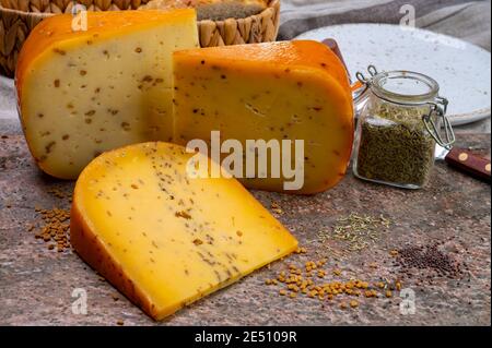 Collection de fromages, morceaux de gouda hollandaise jaune dur avec carvi séché, moutarde, cumin, fenugrec, graines de poivre gros plan Banque D'Images