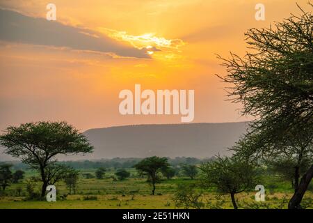 Spectaculaire coucher de soleil sur le Bush africain à Ngoro Ngoro Banque D'Images