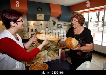 EXCLUSIF. La fête de la télévision Maite nous recoit dans son fief de Rion des Landes, un village du Sud-Ouest pres de Dax, le 2 juin 2008, jour de son 70eme anniversaire. Et c'est bien montré 'chez Maite', l'auberge qu'elle tient de main de maître depuis 8 ans et ou elle accoille, midi et soir, des clients venus des quatre pièces de la France pour déguster ses celebres recettes, que la truculente iniere fete l'équipement, son enté. Plus tard, elle sera même meme les honneurs de sa maison, avec son mari Pierrot et leurs trois chiens. Retraitee du petit Banque D'Images