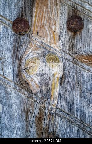 face d'un être fantastique sur la texture d'une vieille porte en bois avec deux clous, pareidolia sur une porte, verticale Banque D'Images