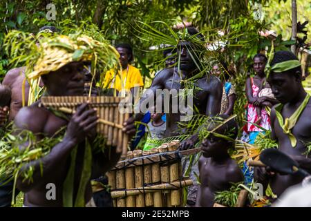 Sing-Sing traditionnel avec des invités étrangers sur l'île de Tautsina, Bougainville, Papouasie-Nouvelle-Guinée Banque D'Images