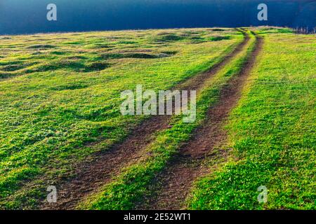 Un Paysage De La Prairie Verte Photo Stock Alamy