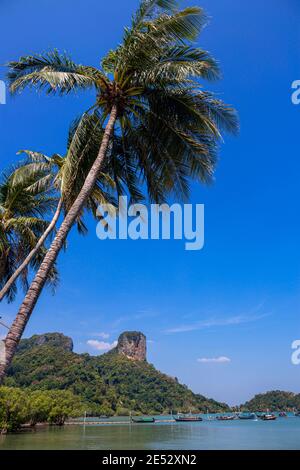 Vue panoramique sur la plage est de Railay, ville de Krabi, Thaïlande. Vue depuis l'ombre de l'arbre. Paysage avec plage de sable en premier plan et immense roo calcaire Banque D'Images
