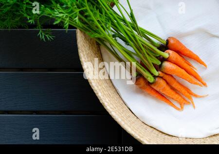 Bouquet de jeunes carottes fraîches bio avec ses arbres mis dans le panier avec un tissu blanc un fond sombre. Banque D'Images