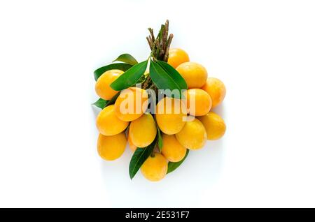 Marian Plum ou Ma Yong Chid (en langue thaï) qui ressemble à une prune mais qui a le goût de la mangue sur fond blanc. Banque D'Images