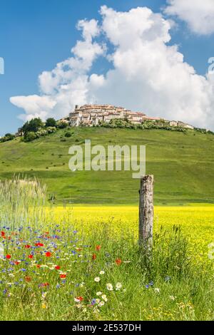 Paysage rural italien central, avec des fleurs et un poteau en bois au premier plan, des champs de lentilles et un village lointain au sommet d'une colline en arrière-plan Banque D'Images