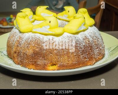 Babka est un gâteau de levure spongieux qui est traditionnellement cuit pour le dimanche de Pâques en Pologne, en Biélorussie, en Ukraine et en Russie occidentale Banque D'Images