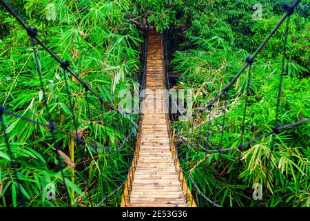 Pont piétonnier suspendu de construction traditionnelle en bambou naturel. Pont de câble traversant la rivière dans la jungle tropicale. Passerelle sur treeto Banque D'Images