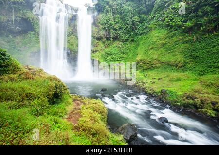 Paysage cascade tropicale le matin d'été, situé dans le plateau de Bolaven, Laos, feuillage luxuriant de plantes et de fleurs sauvages sont en fleur. Banque D'Images